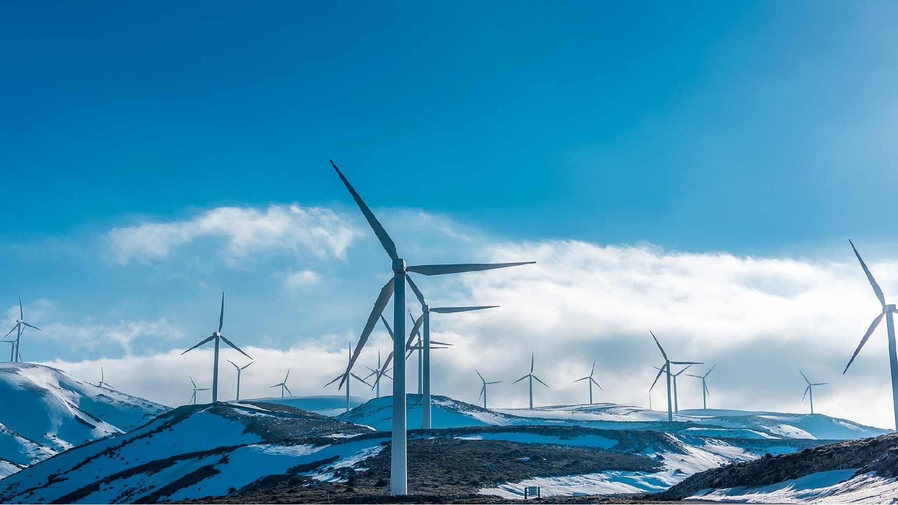 2025年奥马最新免费资料