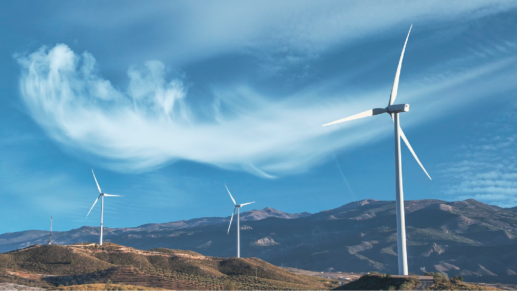 2025年奥马最新免费资料