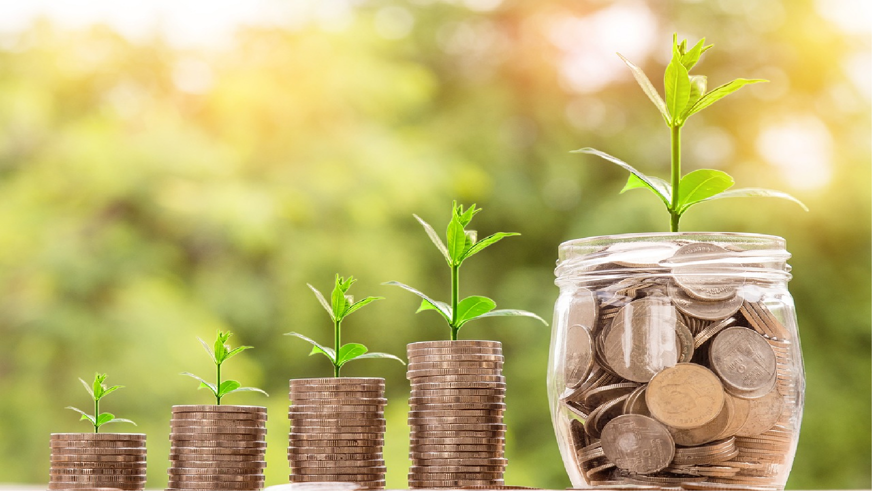 2025年奥马最新免费资料